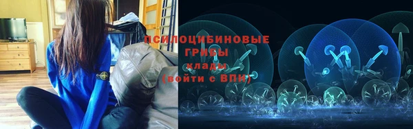 прущие грибы Туринск