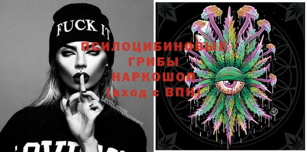 винт Козловка