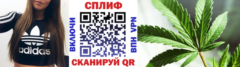 купить   Костерёво  Канабис семена 